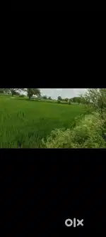 19 डिसमिल खेती जमीन बेचना है