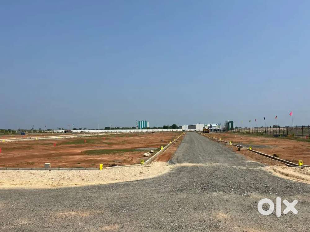 புதுக்கோட்டை ஆன் ரோடு டூ சைட் 300 மீட்டர் வீட்டு மனைகள்