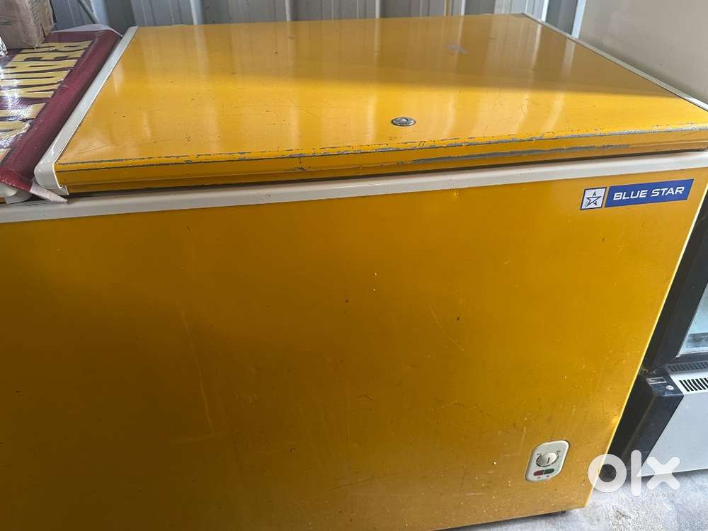 Chest cooler 500L blue star