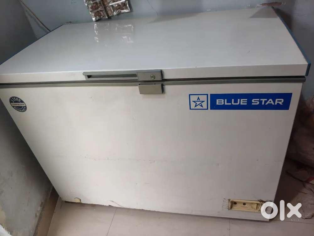Deep freez Blue Star 350 litre
