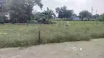 अच्छा प्लॉट है गोविंद की गली नाम है कॉलोनी का गांव बैरागढ़ में