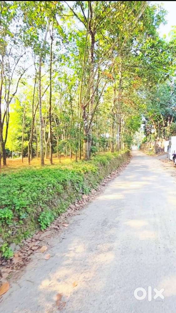 8 cent plot for sale