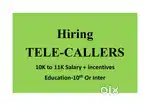 Telecaller-Desk Job-Female