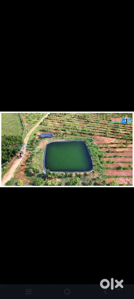 Property expert mi kastarjitanni vrudha kanivvamu