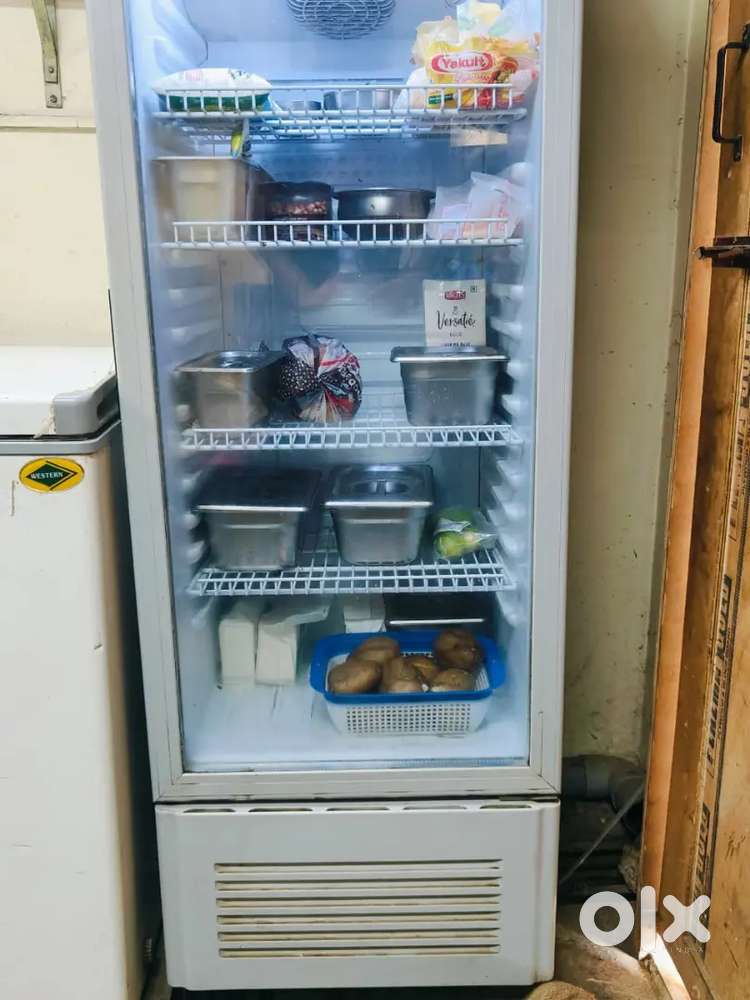 Blue Star Display Fridge