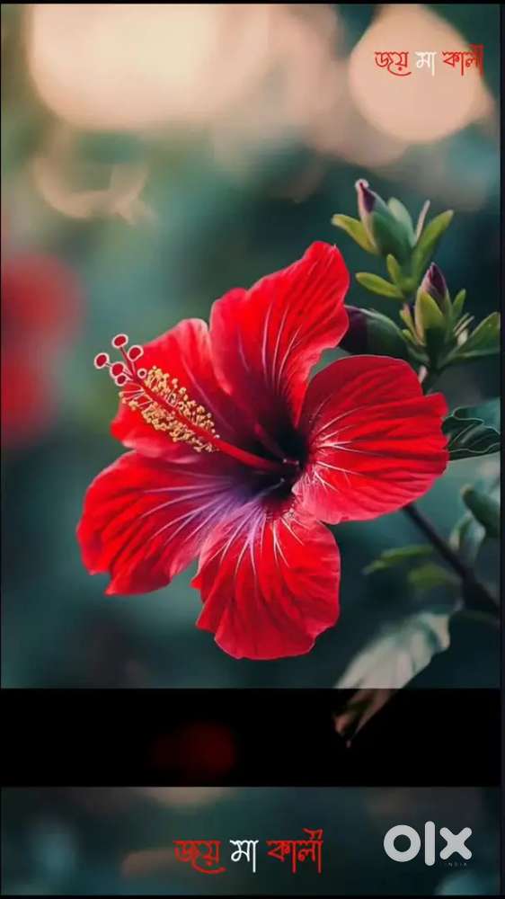 Purbo medinipur a modha kaj chai ja kono kaj hola hoba