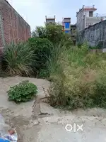 101 gaj plot sale in ranibag colony dhampur