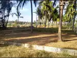 Corner property