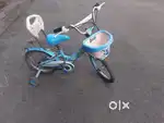Frozen theme cycle
