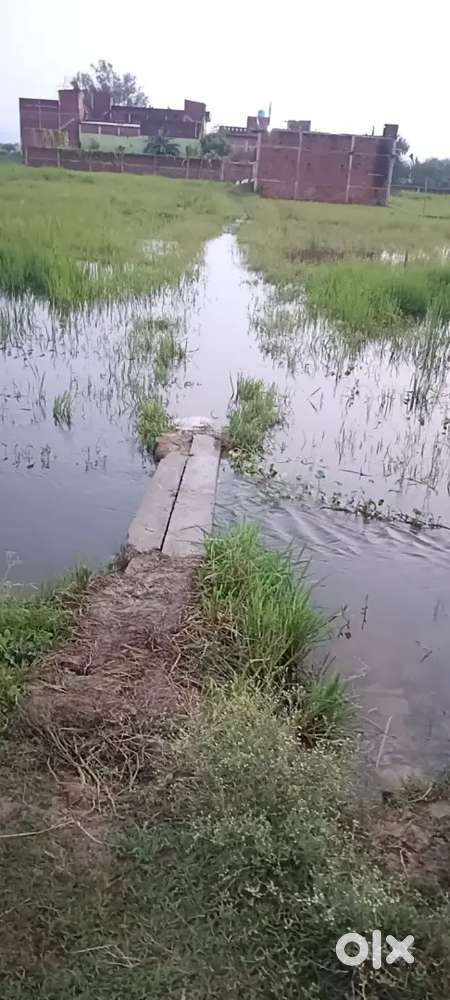 2.5 dismil Plot sale on sikra road