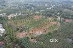 8 Cent House plot for sale in Viyyakurissi,Palakkad