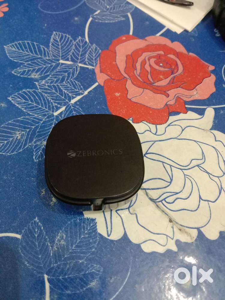 Zebronics earbuds