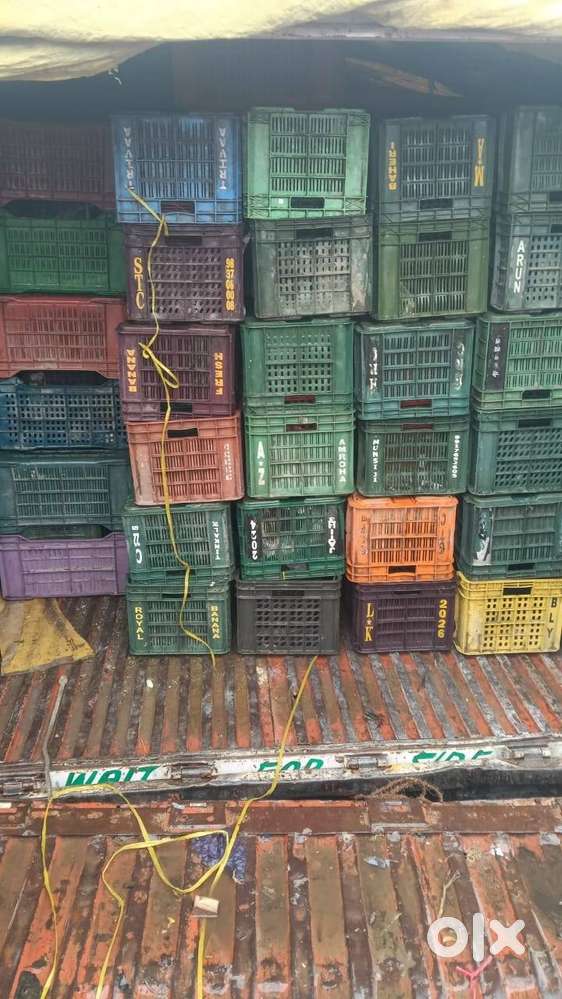 Heavy Duty Plastic Crates for Sale – Ideal for Fruits, Vegetables & St