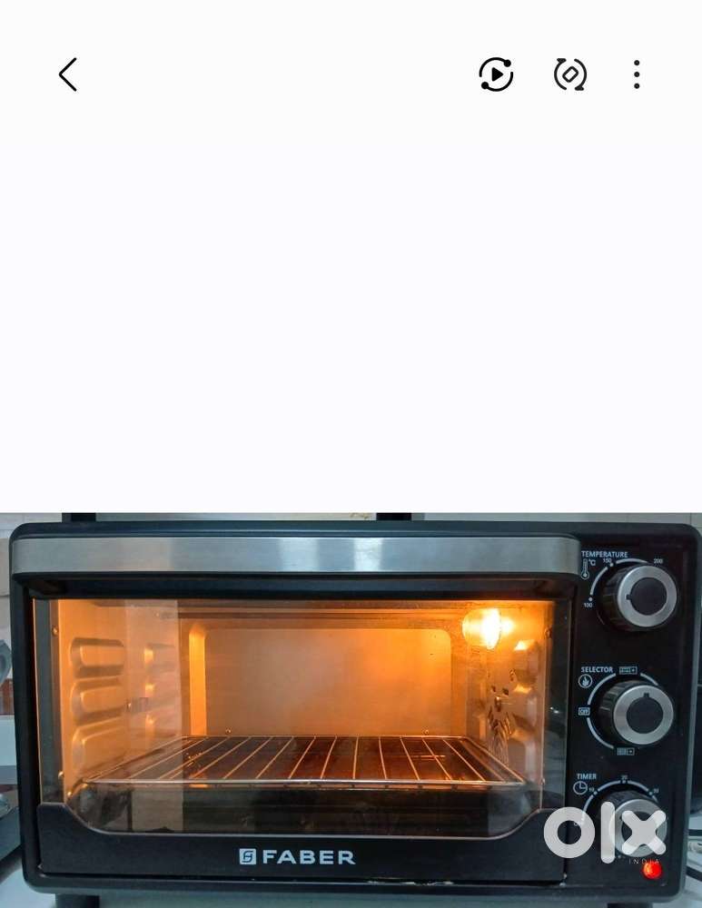 Faber FOTG 24L with rotisserie.
