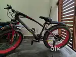 Fire Catcher Fat Bike