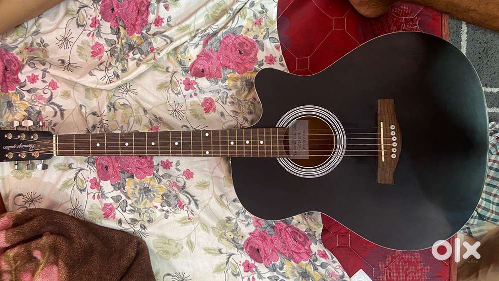 Flamingo guitar