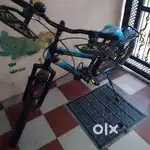 This is stryder tata moters cycle and three moths old