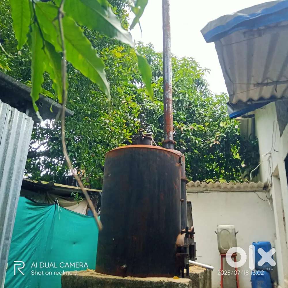 Cashew machinery sale