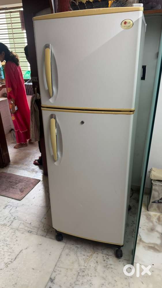 LG company fridge