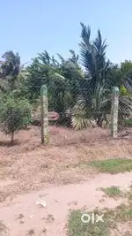 90 Cent-Landscaped farm land with Trees &1BHK House in Othakalmandapam