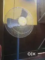 Stand fan of company KRANTI