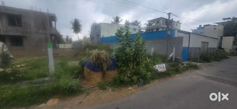 Kuranguchavadi Main Road Property