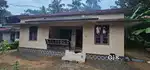 Well maintained house and plot for sale in emergency