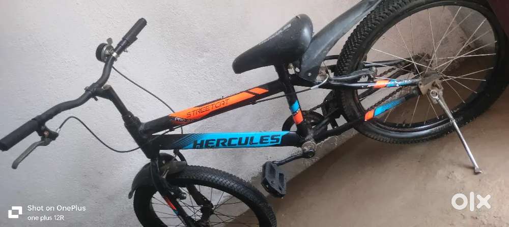 Baccha wala hai small