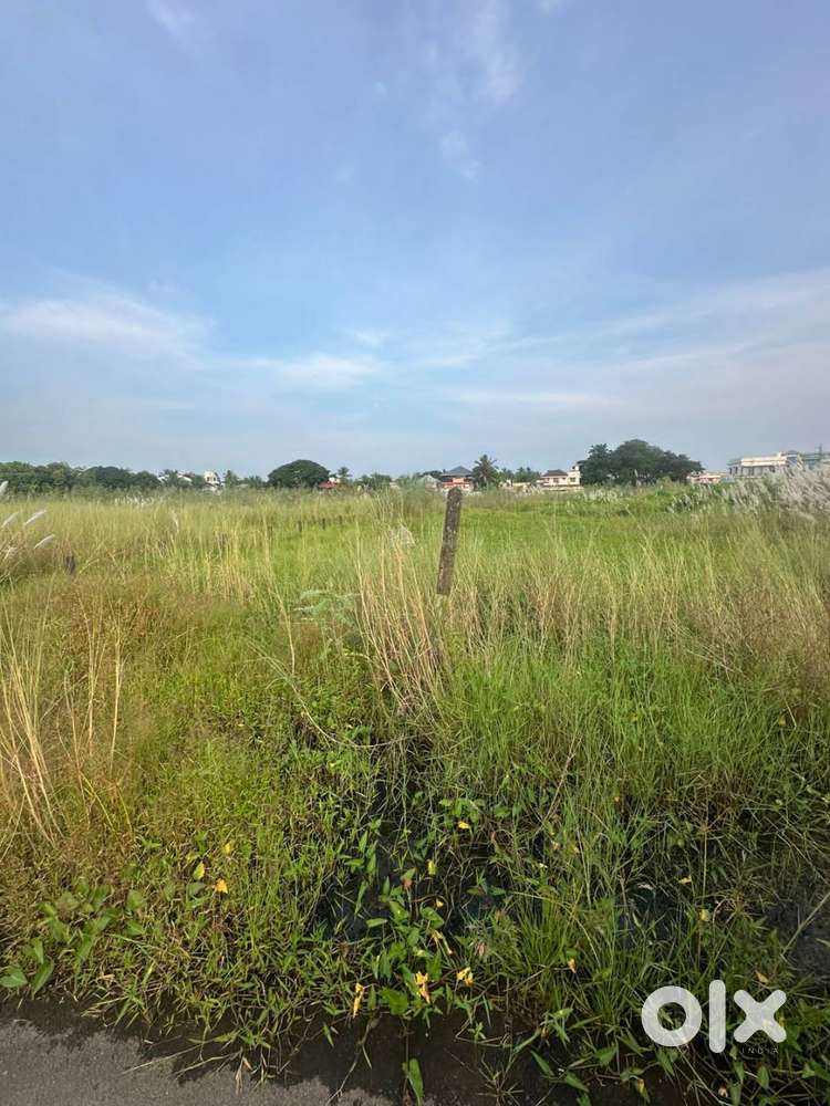 Residential Plot for Sale in Opposite Govt. Medical College, Palakkad