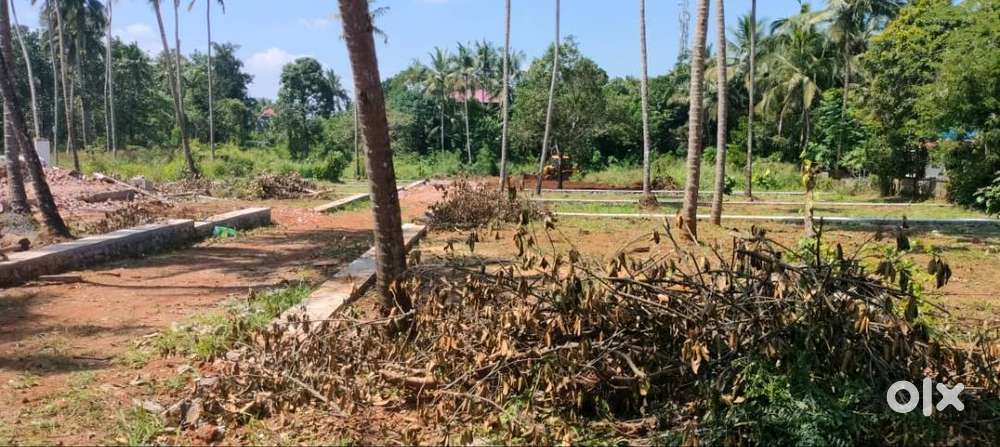 Residential Plots-9,10,14,20 cents for sale in Mannuthy, Thrissur.