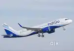 Join One of India’s Leading Airlines – Build Your Future with IndiGo
