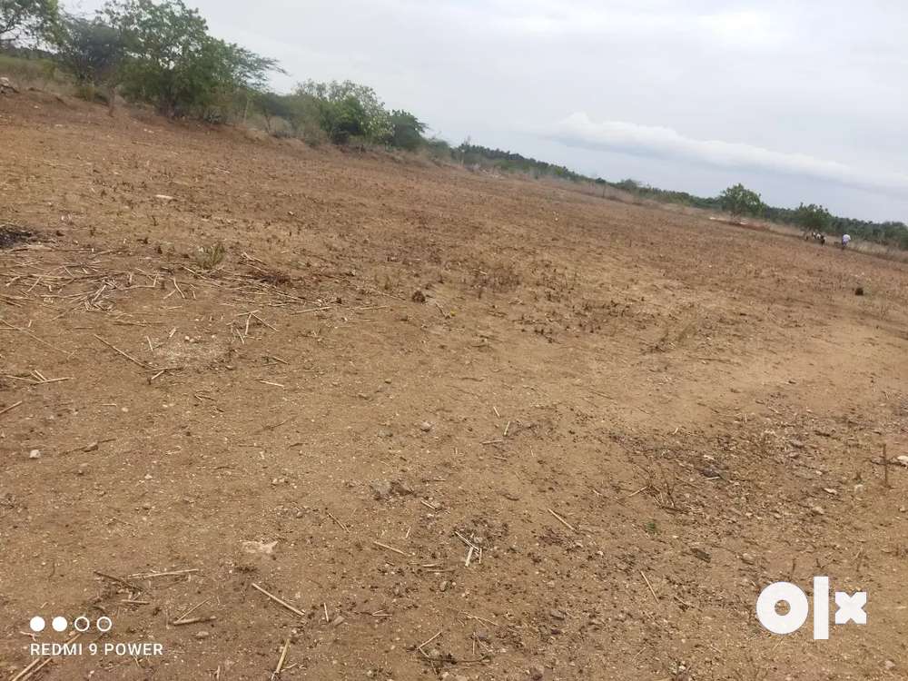 1 acer for sale agriculture land