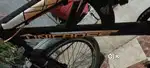 Bicycle 12year +