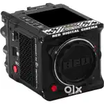 Red komodo