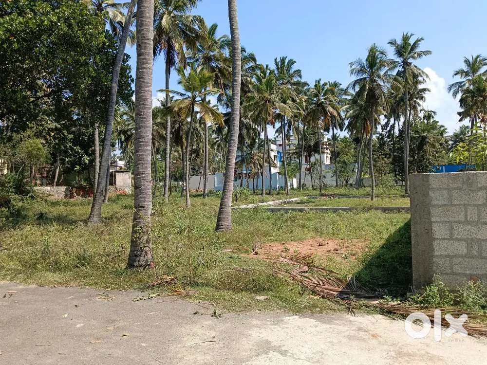 6 Cent Housing Plot for Sale in Maravankudieruppu Vattakarai Palam