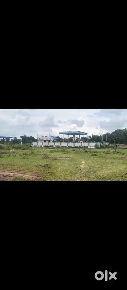 Best investment site