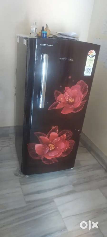 Fridge (2 cooling unitsCeiling Fan Good Condition Plastic & Metal Body