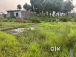 plot for sale 21by44.5
