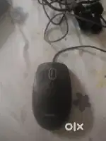 HP charger and mouse
