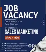 Assistant(female)