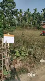 1 katha 5 lecha land near Nemubagan, Madhupur