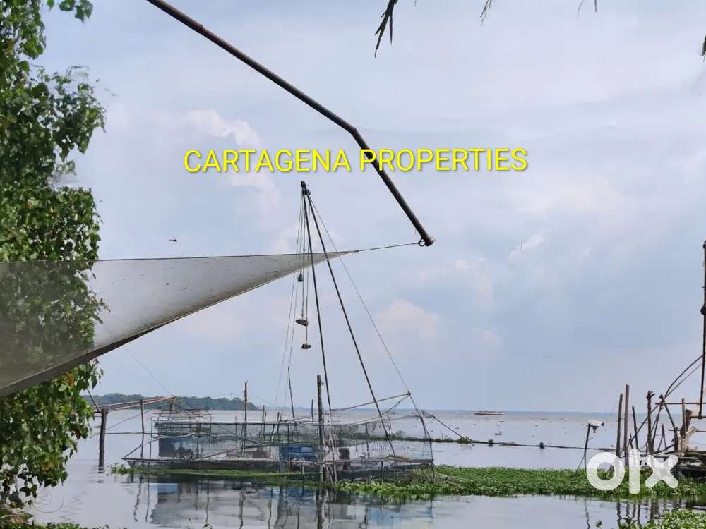 LAKE VIEW RESORT LANDS, MUHAMMA, ALAPPUZHA, 1.13, 1.75 & 2.8 ACRES