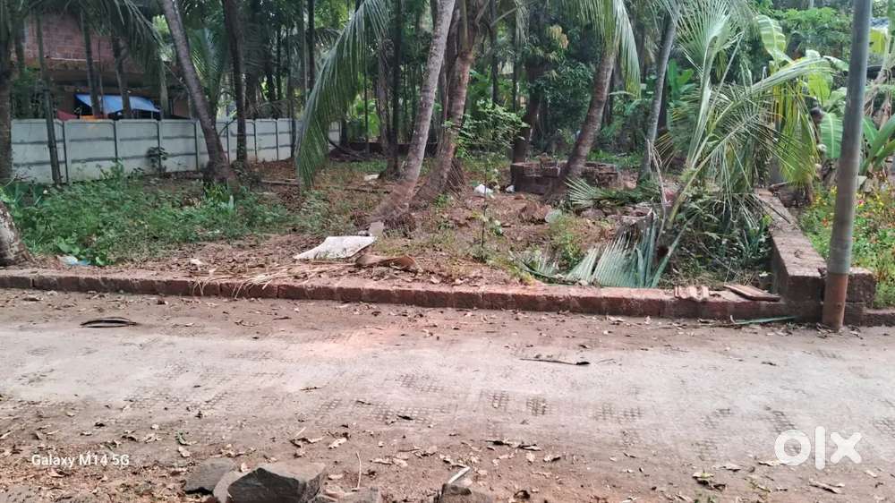 11 cent plot for sale