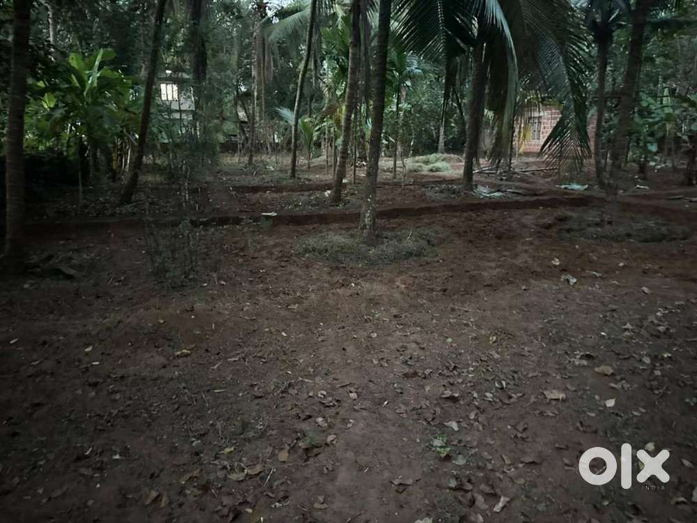 15 Cent Plot – Road Access  Peaceful Location - Karivellur, Payyanur