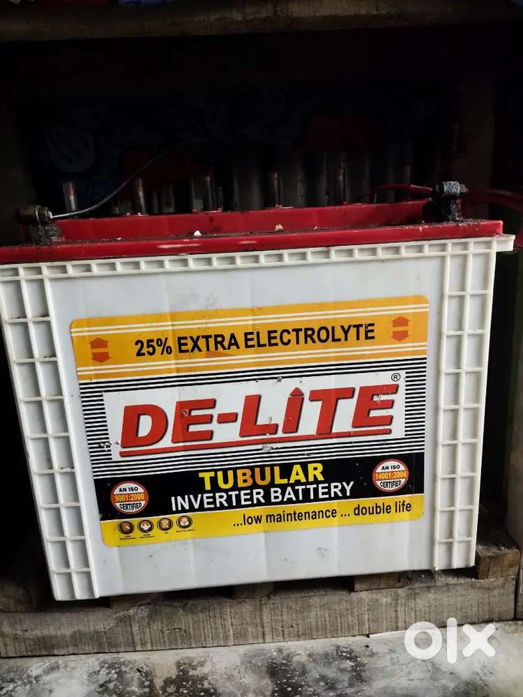 DE-LITE Battery 150 mah 4 year old