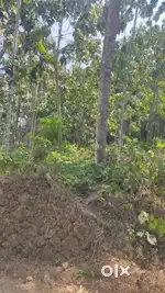 Pakka parambu suitable for types of farms.