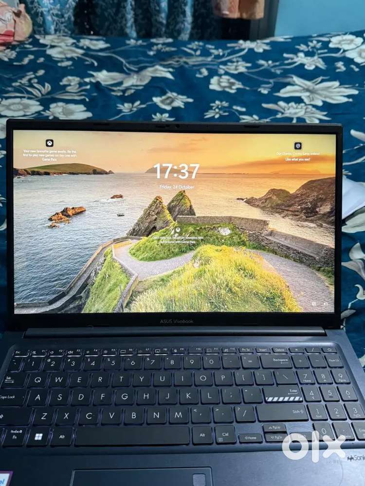 Asus vivobook 15 (2025)