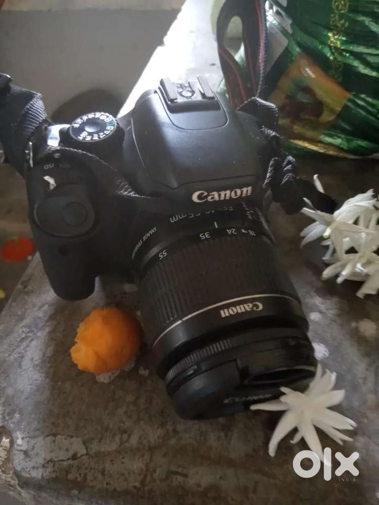 Canon camera dslr