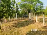 Fully Developed farm land  ( Near New RingRoad- Buypass) in tilwara