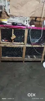 Money problem